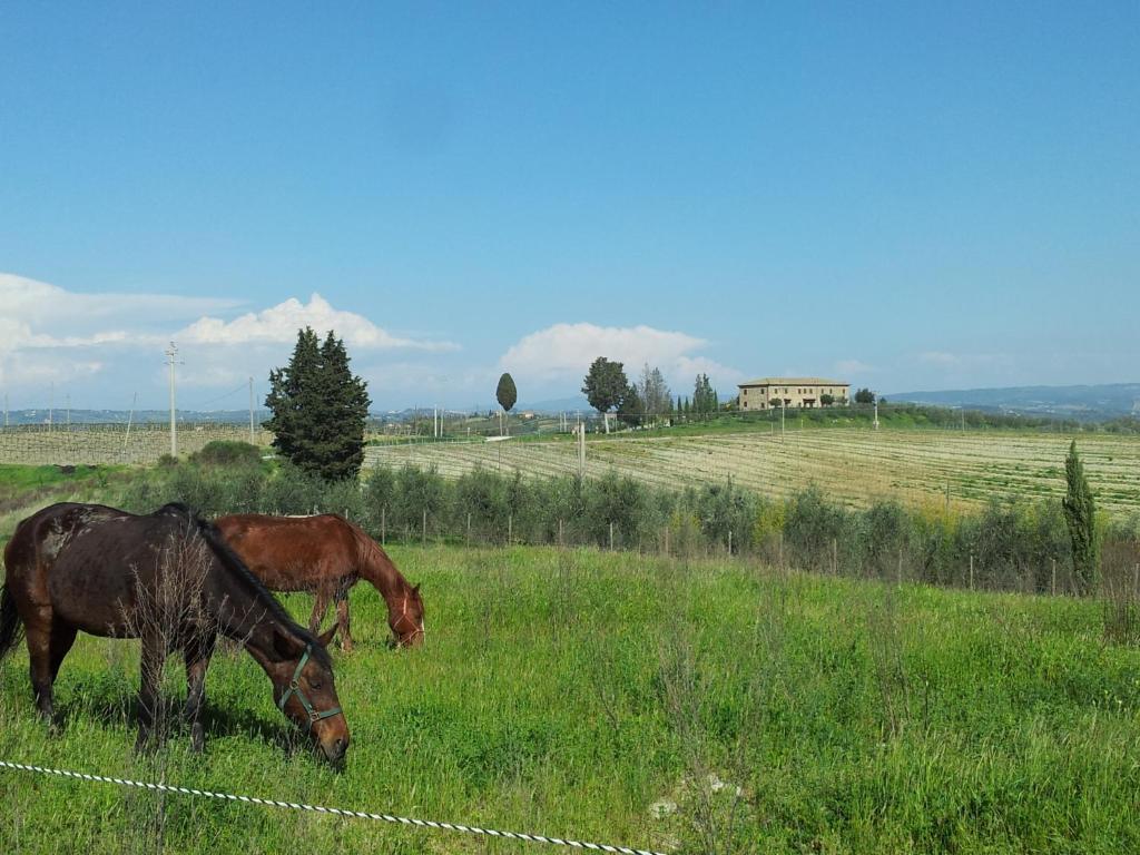 Agriturismo Macinatico Σαν Τζιμινιάνο Δωμάτιο φωτογραφία